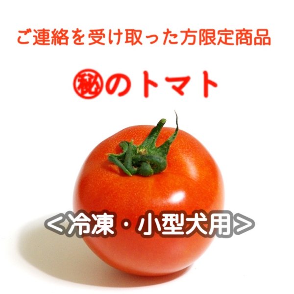 画像1: ※期間限定!!majunエリクサー民＆majun-family有料メルマガ会員様専用商品※【冷】小型犬用トマトのカッペリーニ (1)