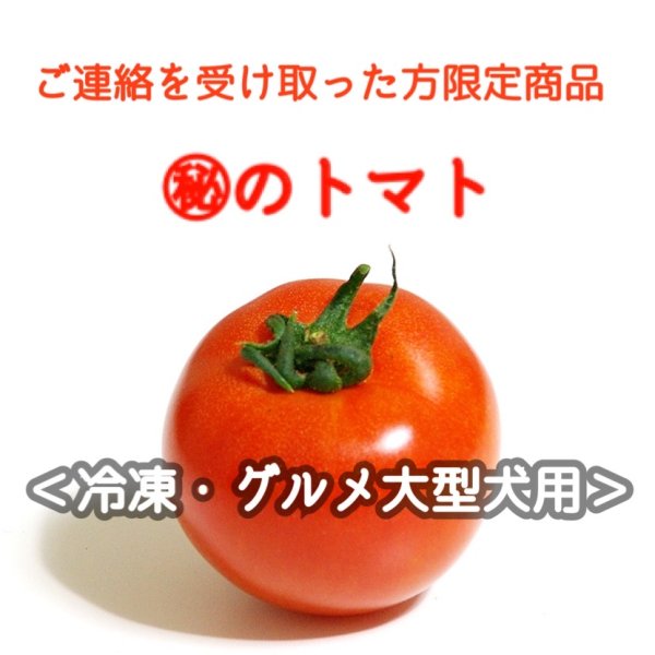 画像1: ※期間限定!!majunエリクサー民専用商品※【冷】グルメ・大型犬用トマトのカッペリーニ (1)