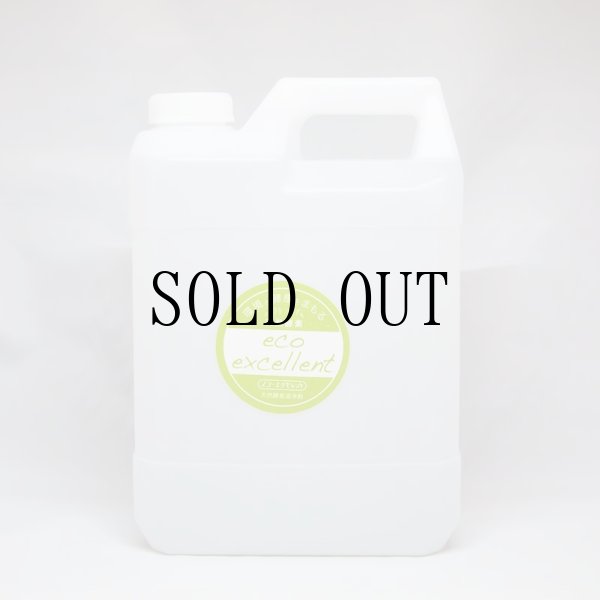 画像1: エコエクセレント 入浴剤／4L (1)