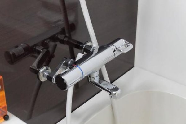 画像9: 浄活水器エリクサーII (9)