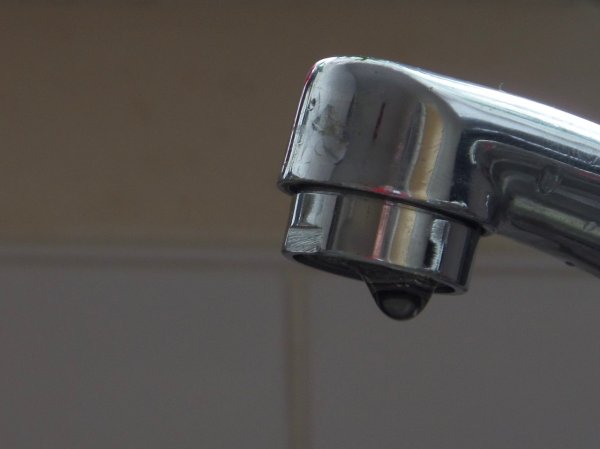 画像8: 浄活水器エリクサーII (8)