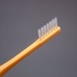 画像1: 一列歯ブラシ (1)