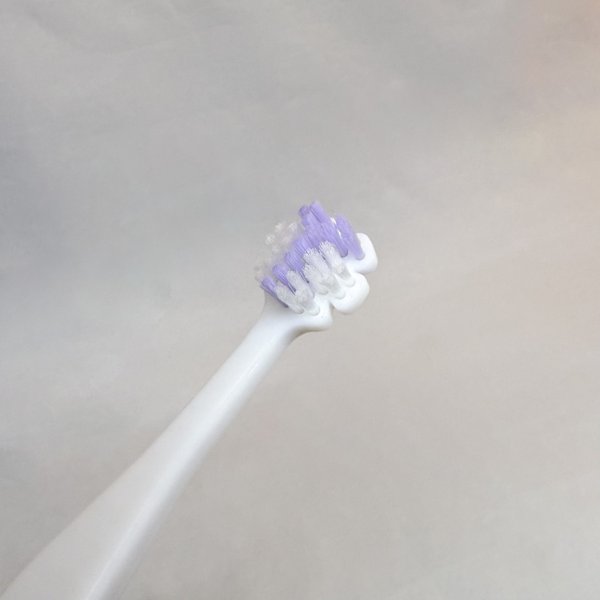 画像1: Tate.縦磨き歯ブラシ (1)