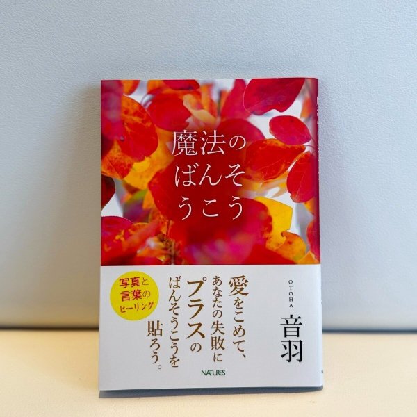 画像1: 魔法のばんそうこう (1)