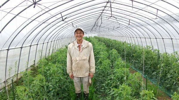 画像5: 甘い水農園　高糖度トマトジュース (5)