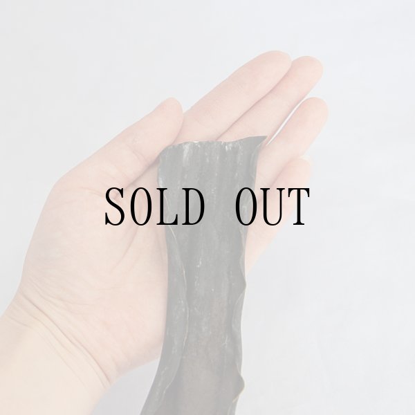 画像3: 漁師昆布(選りすぐり) (3)