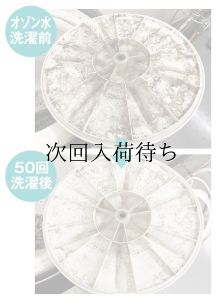 画像6: ※予約商品※洗濯用オゾン水生成器 ELEOZON(エレオゾン) (6)