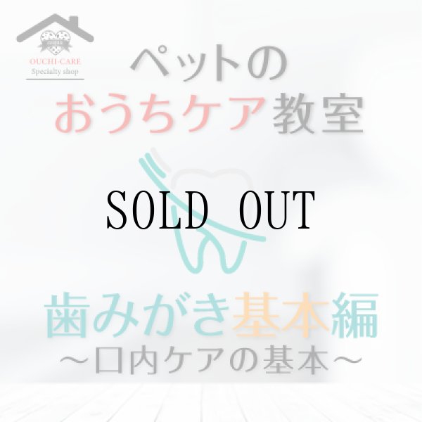 画像1: ペットのおうちケア教室《歯みがき基本編》 (1)