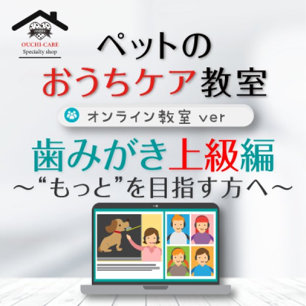 画像1: ペットのおうちケア教室《歯みがき上級編》〜オンライン教室ver.〜 (1)