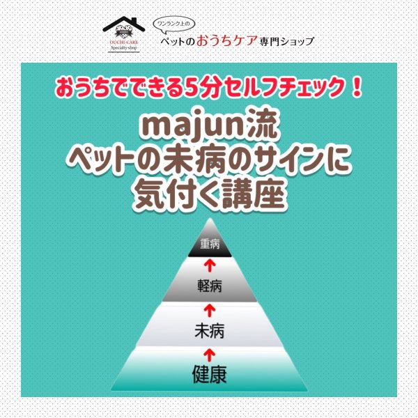 画像1: おうちでできる5分セルフチェック ！ majun流 ペットの未病サインに気づく講座 (1)