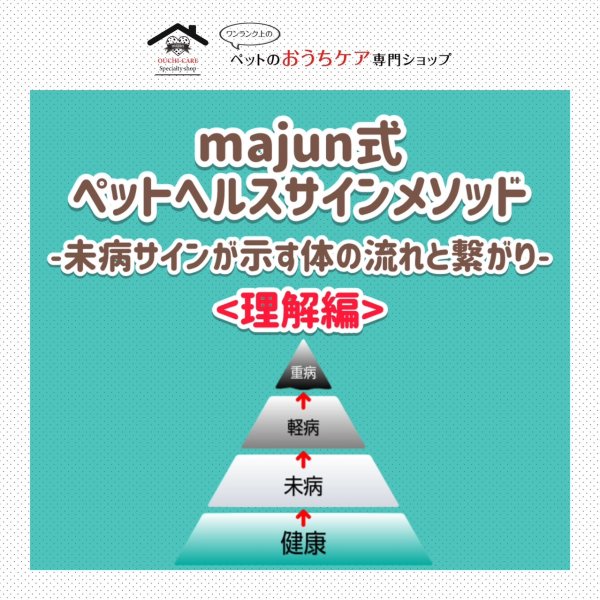 画像1: majun式 ペットヘルスサインメソッド-未病のサインが示す体の流れと繋がり-《理解編》 (1)