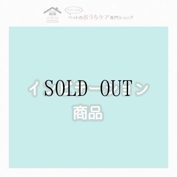 画像1: ＜インビテーション商品＞ (1)
