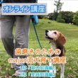 画像1: “歯磨きのための”majun流犬育て講座（2部制）〜オンラインver.〜 (1)