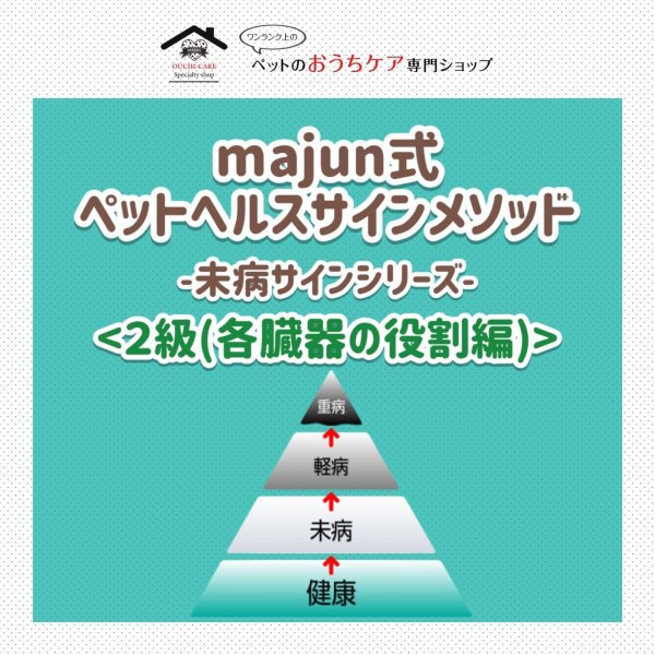 画像1: majun™式 ペットヘルスサインメソッド™-未病サインシリーズ-《２級・各臓器の役割編》 (1)