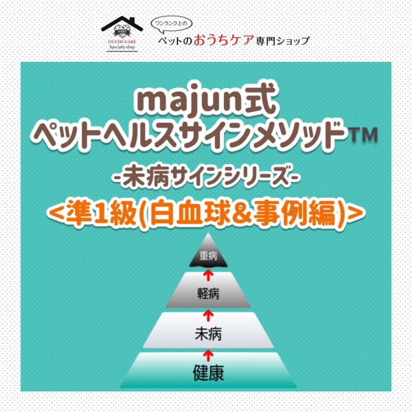 画像1: majun™式 ペットヘルスサインメソッド™-未病サインシリーズ-《準１級・白血球＆事例編》 (1)