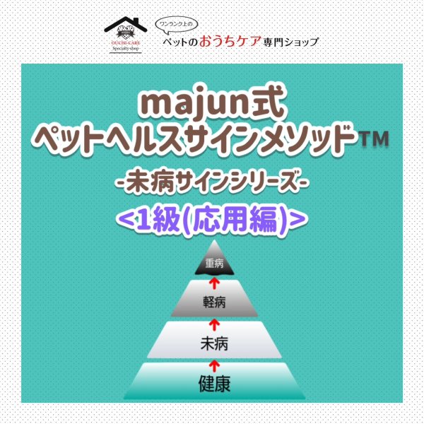 画像1: majun™式 ペットヘルスサインメソッド™-未病サインシリーズ-《１級・応用編》 (1)