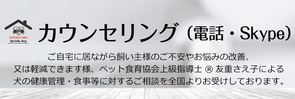 電話・ビデオチャット相談（有料）