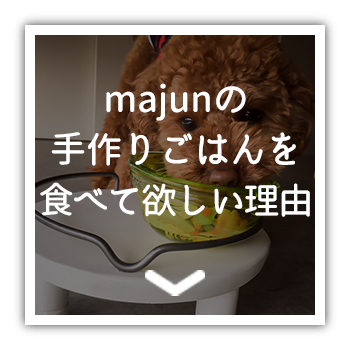 Majunの手作りごはんを食べて欲しい理由