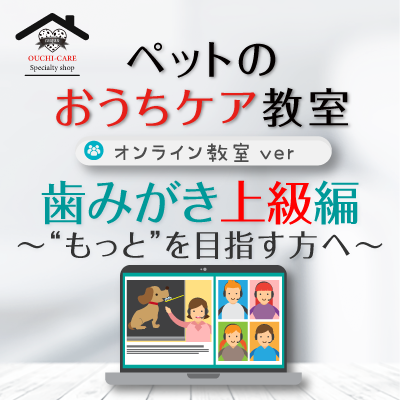 ペットのおうちケア教室《歯みがき上級編》〜オンライン教室ver.〜